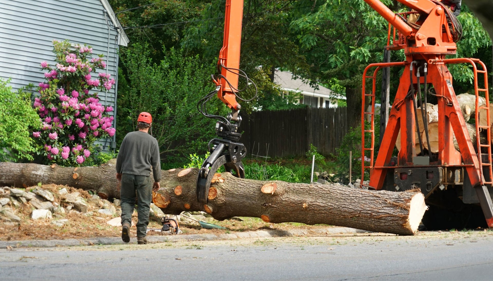 Local partner for Tree removal services in Fayetteville