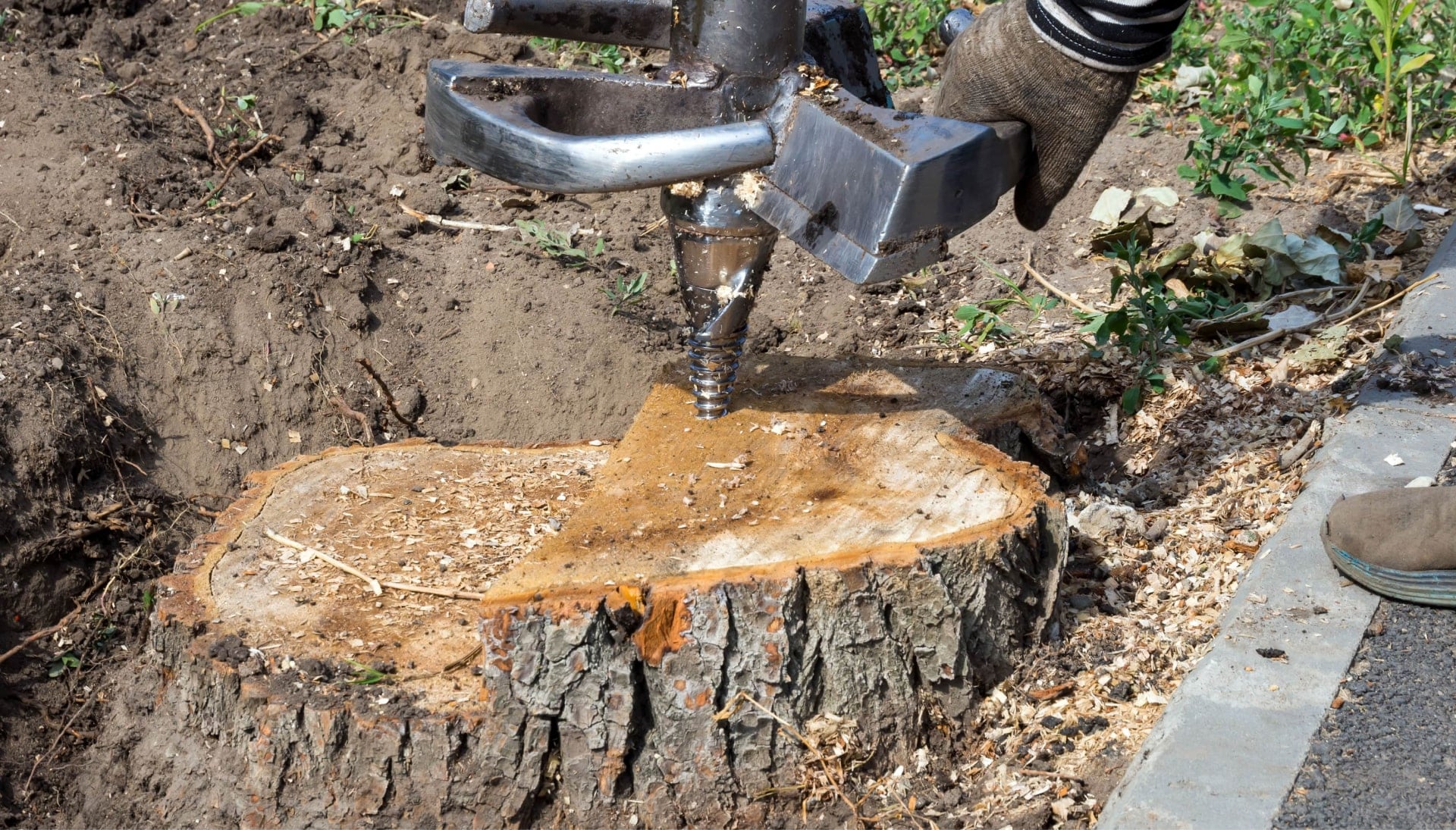 Fayetteville Tree stump removal